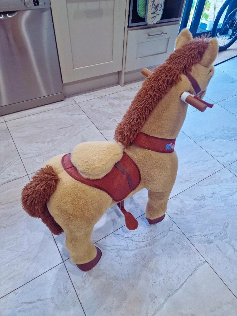 Pony Cycle - Image 1