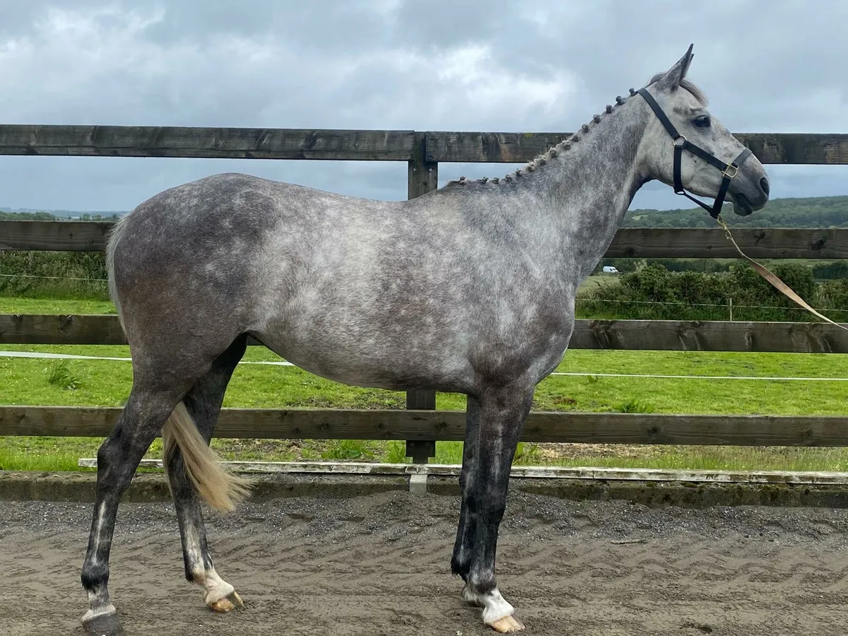 Lot 279 gorsebridge - Image 3