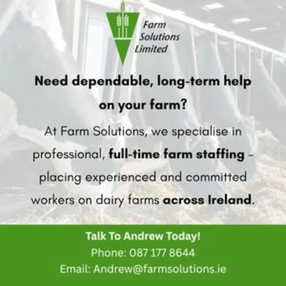 Skilled Dairy Labour - Image 2