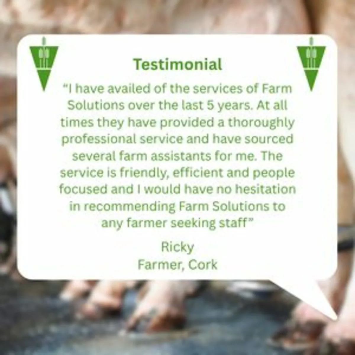 Skilled Dairy Labour - Image 3