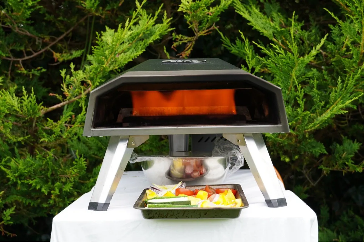 Outdoor BBQ Gas pizza oven - Image 3