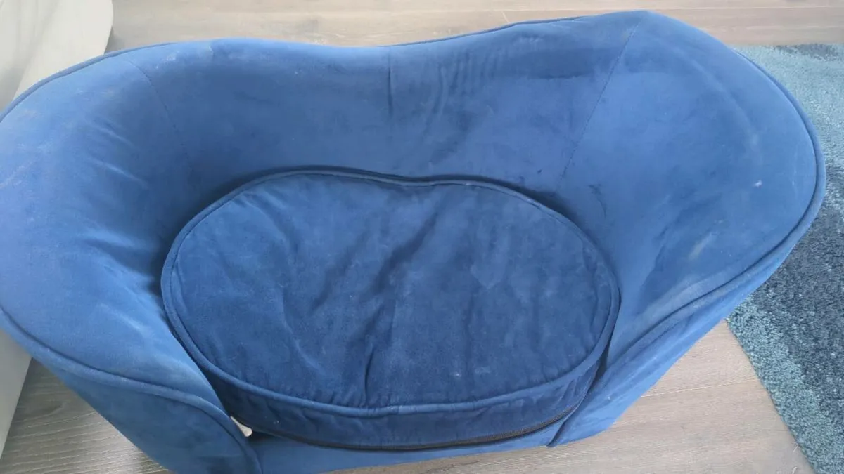 pet sofa