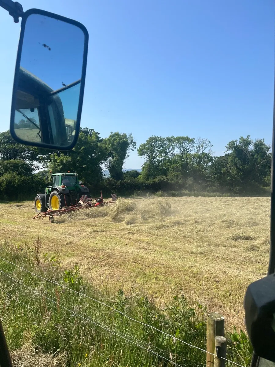 Hay for sale