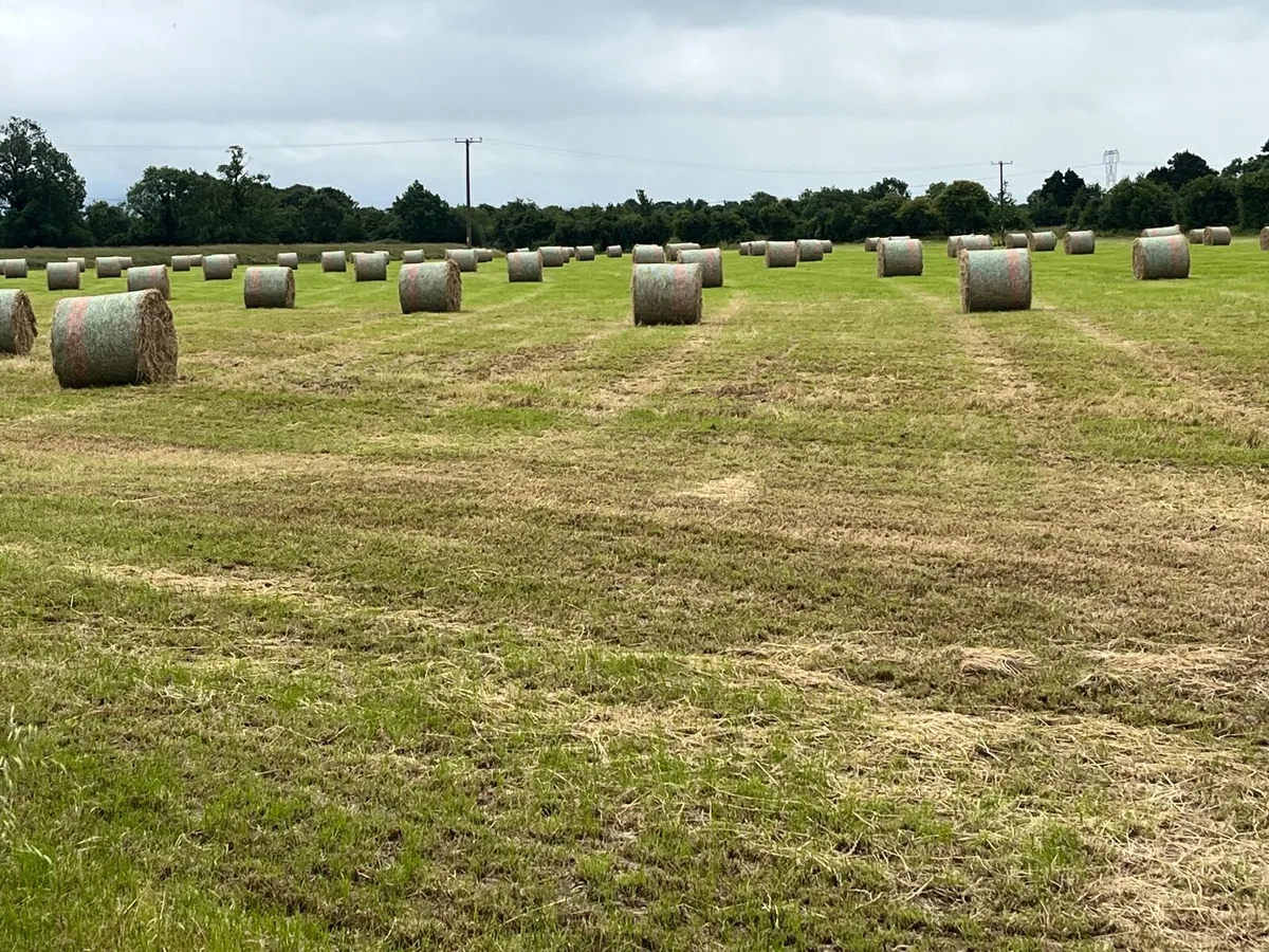 Round Bales of Hay