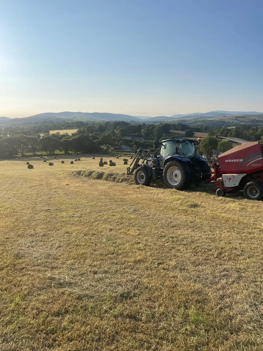 Hay Bales for Sale - North Gorey Wexford - Image 2