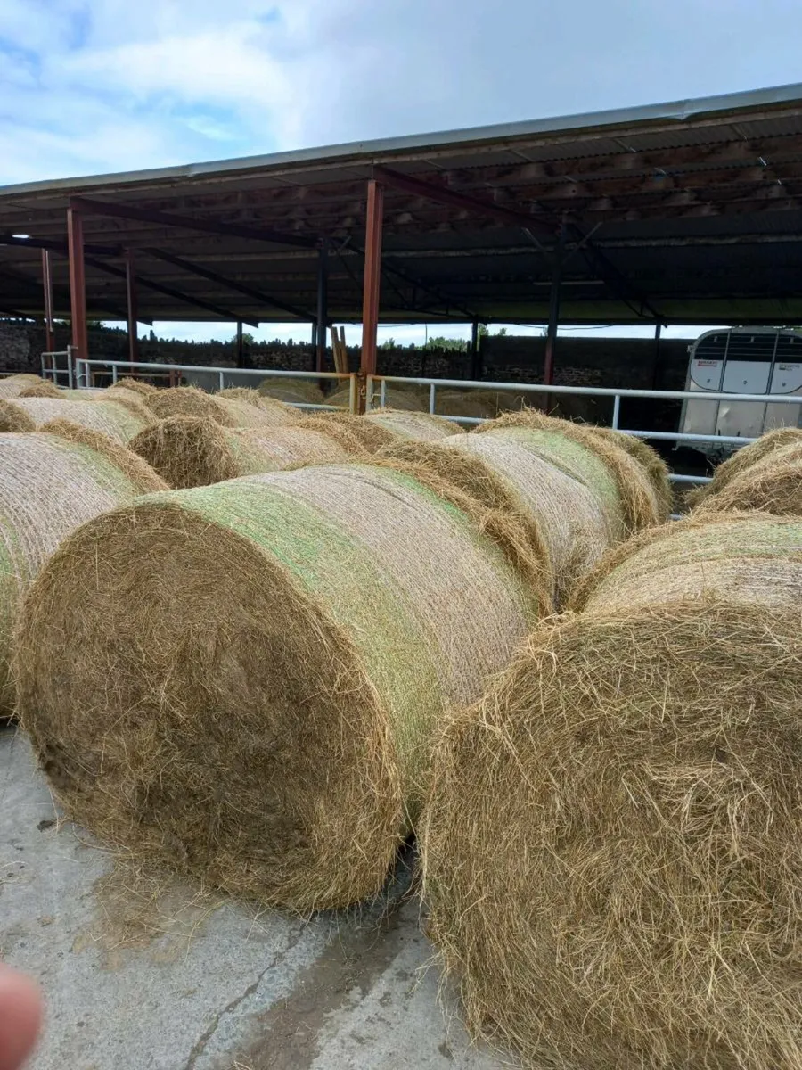 Hay - Image 1