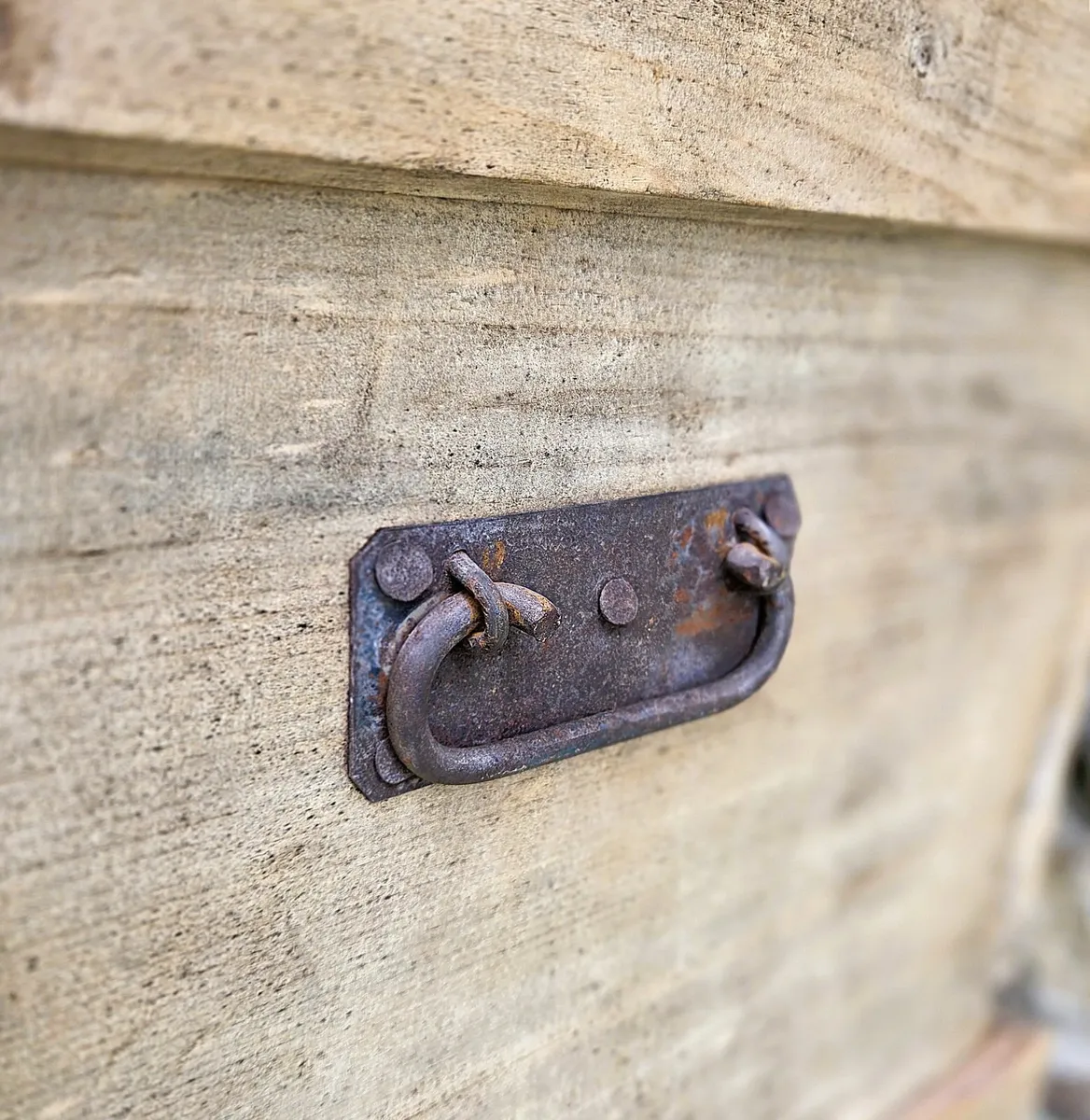 Rustic Victorian Pine Trunk- Circa 1890 - Image 3