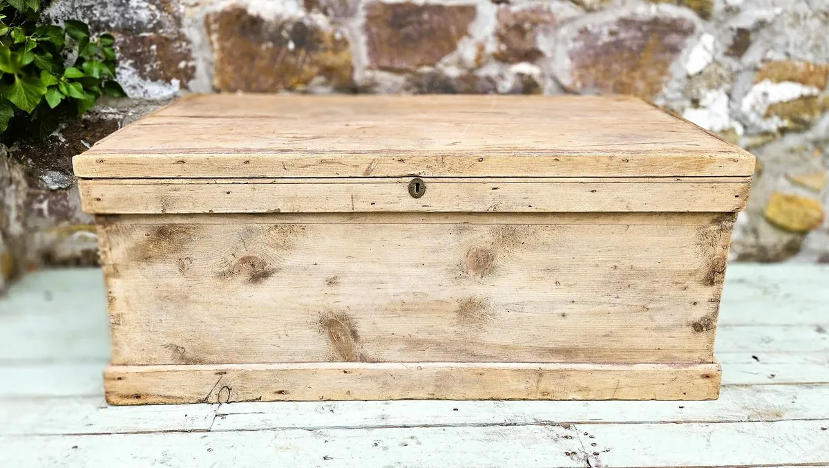 Rustic Victorian Pine Trunk- Circa 1890 - Image 4