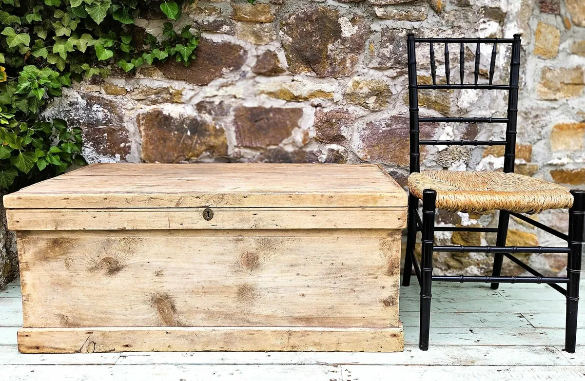 Rustic Victorian Pine Trunk- Circa 1890 - Image 1