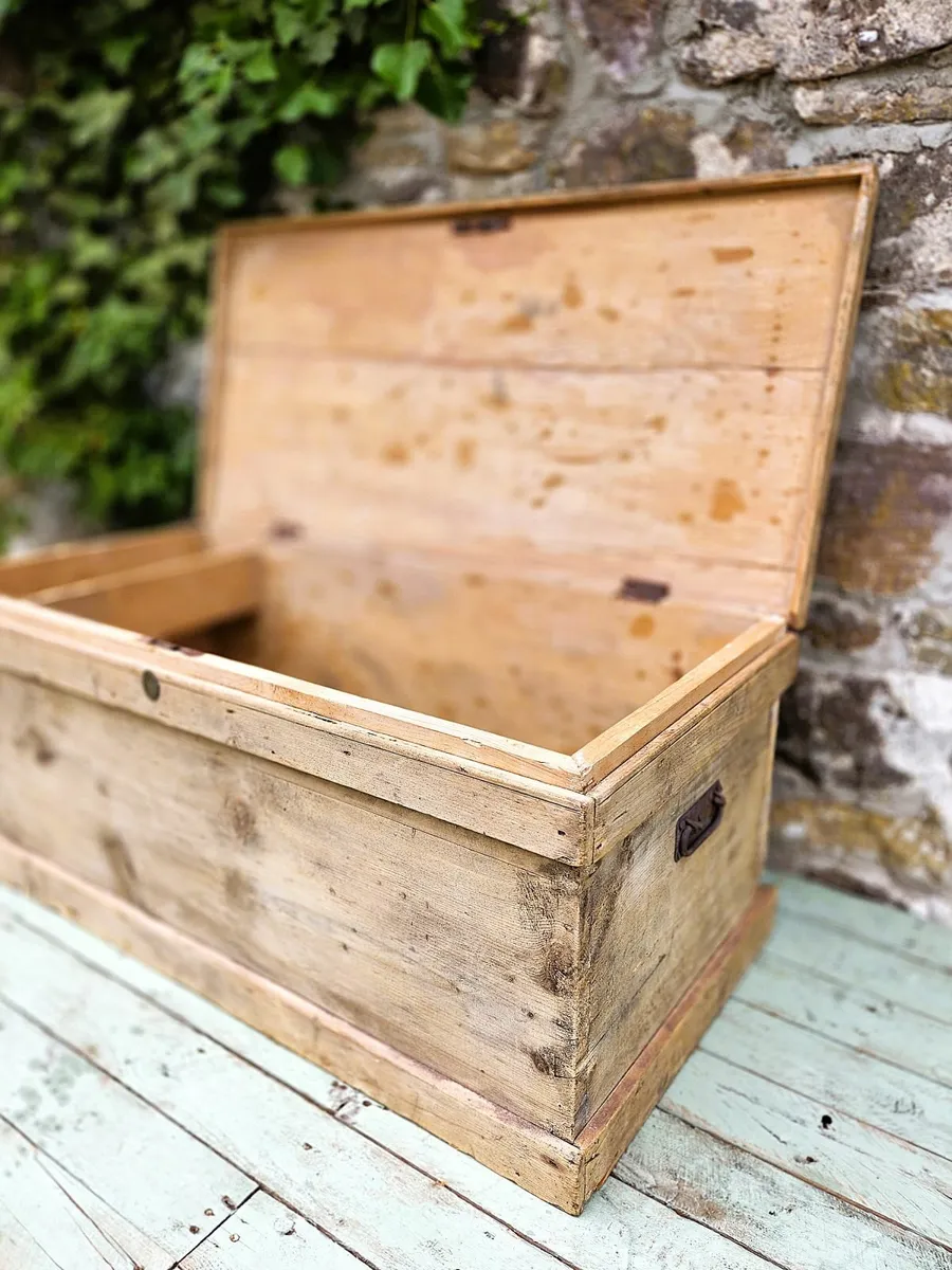 Rustic Victorian Pine Trunk- Circa 1890 - Image 2