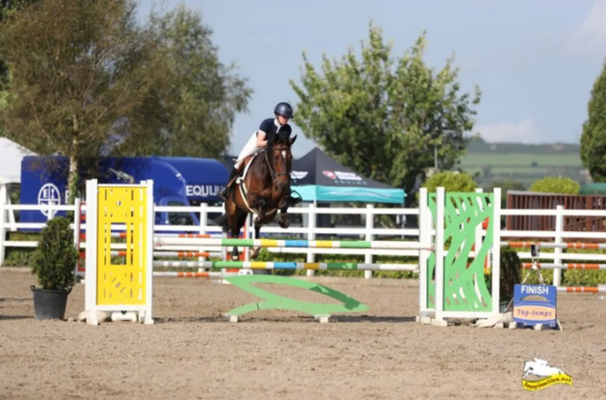 Competitive YR/JR/COH/Amateur Horse - Image 2