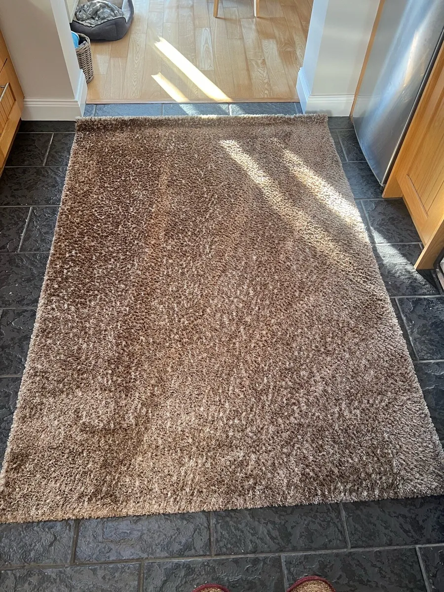 Neutral Large Rug - Image 1