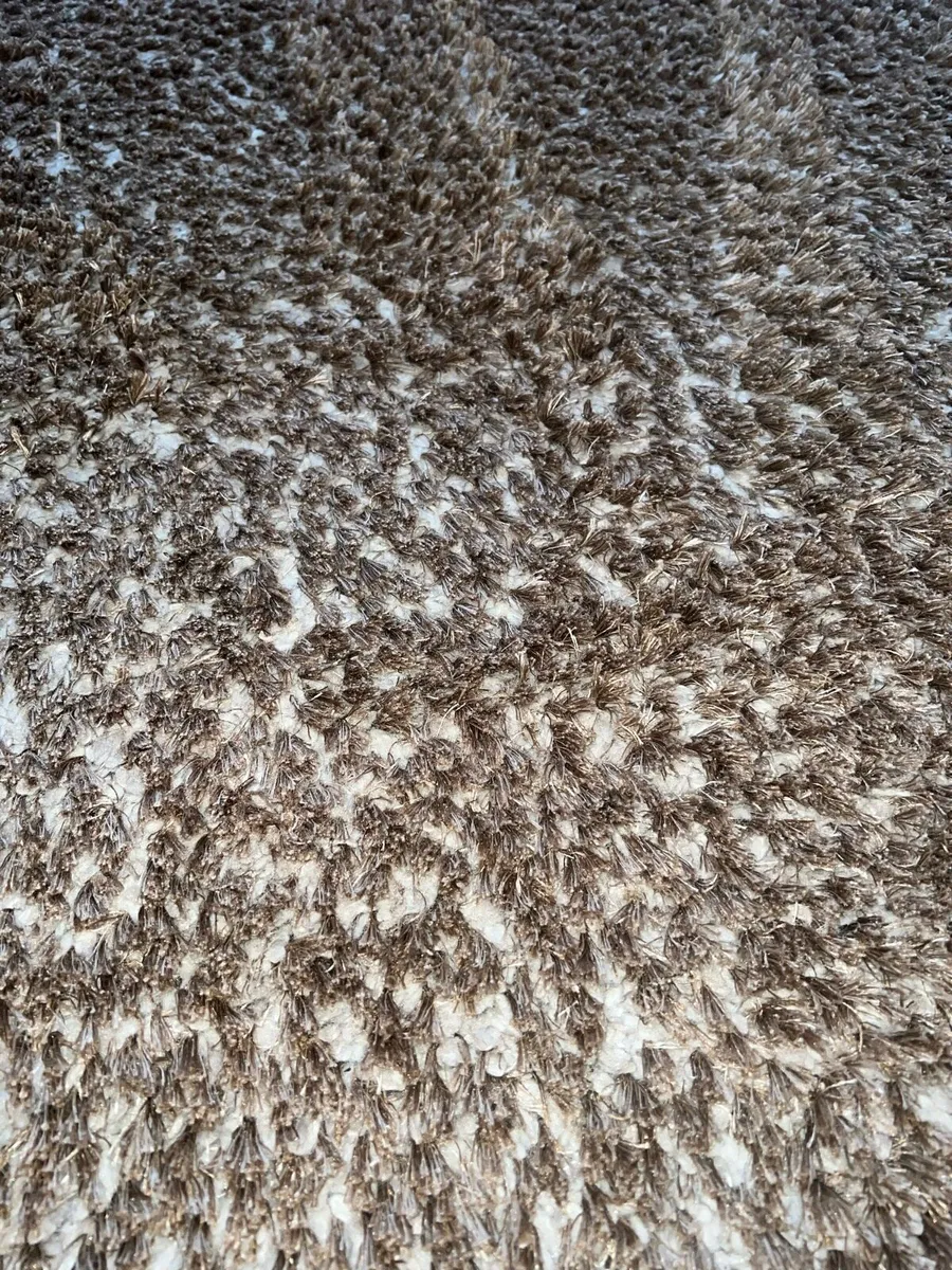 Neutral Large Rug - Image 3
