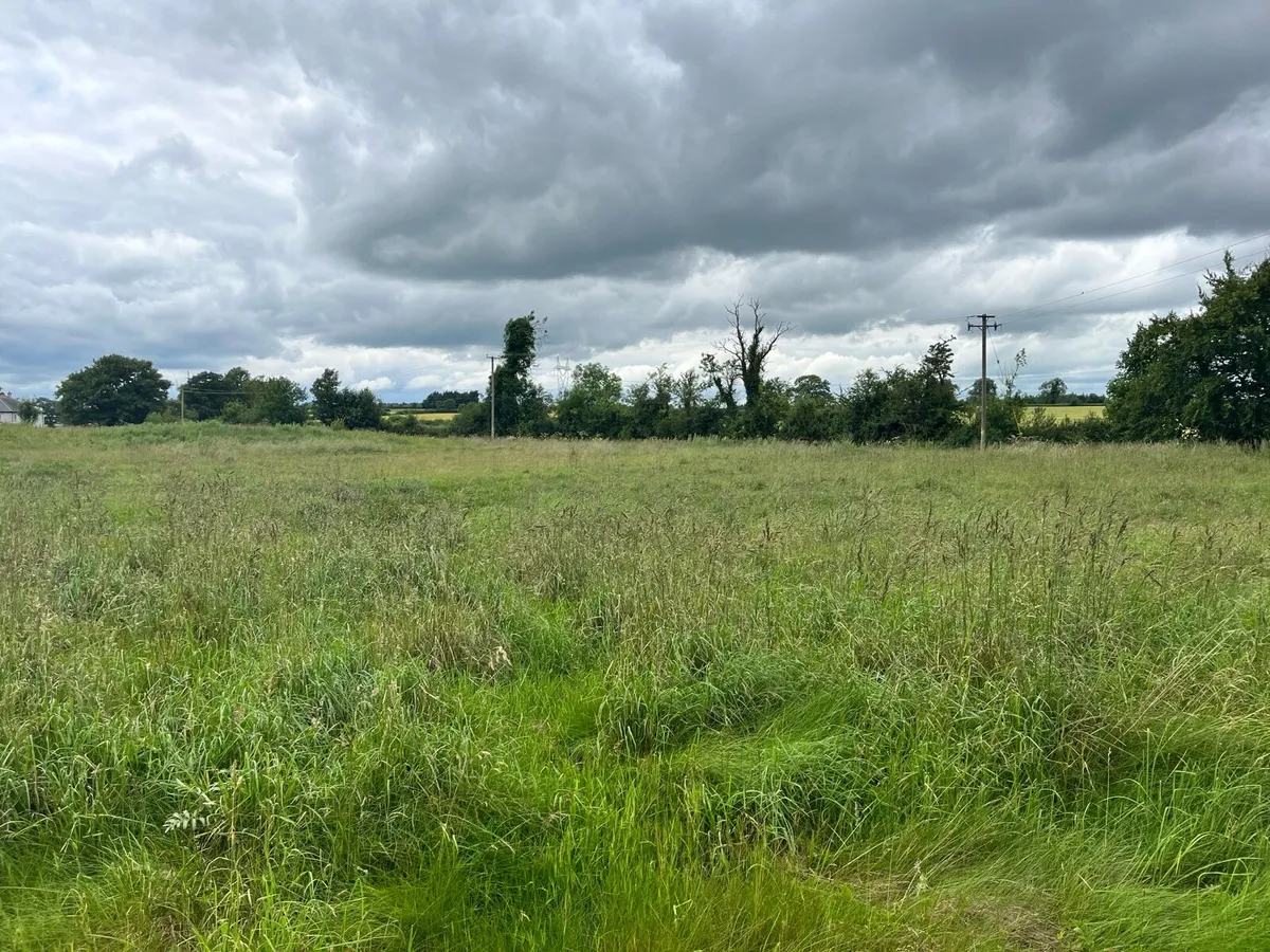 Hay Meadow - Image 3