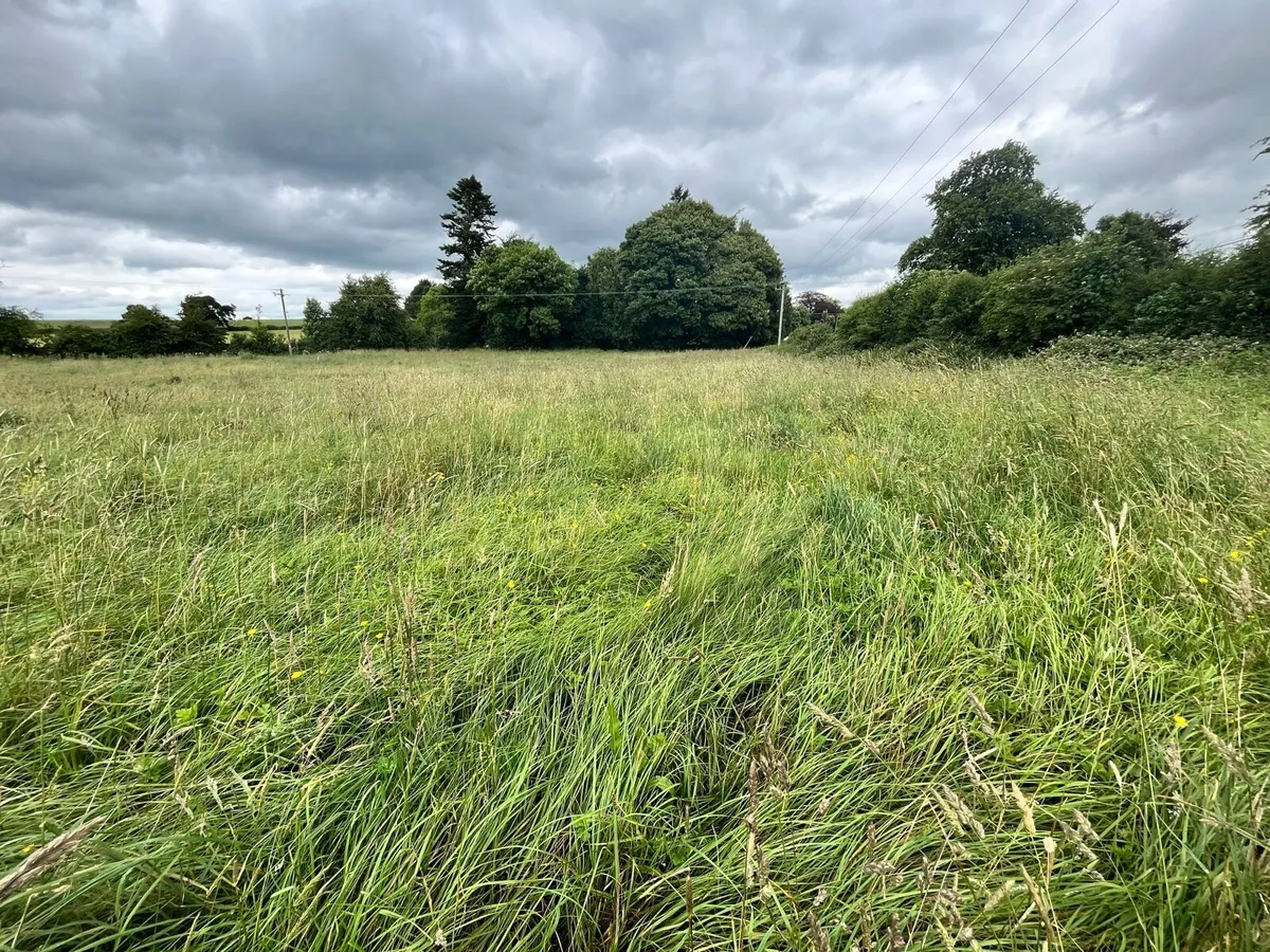 Hay Meadow - Image 4
