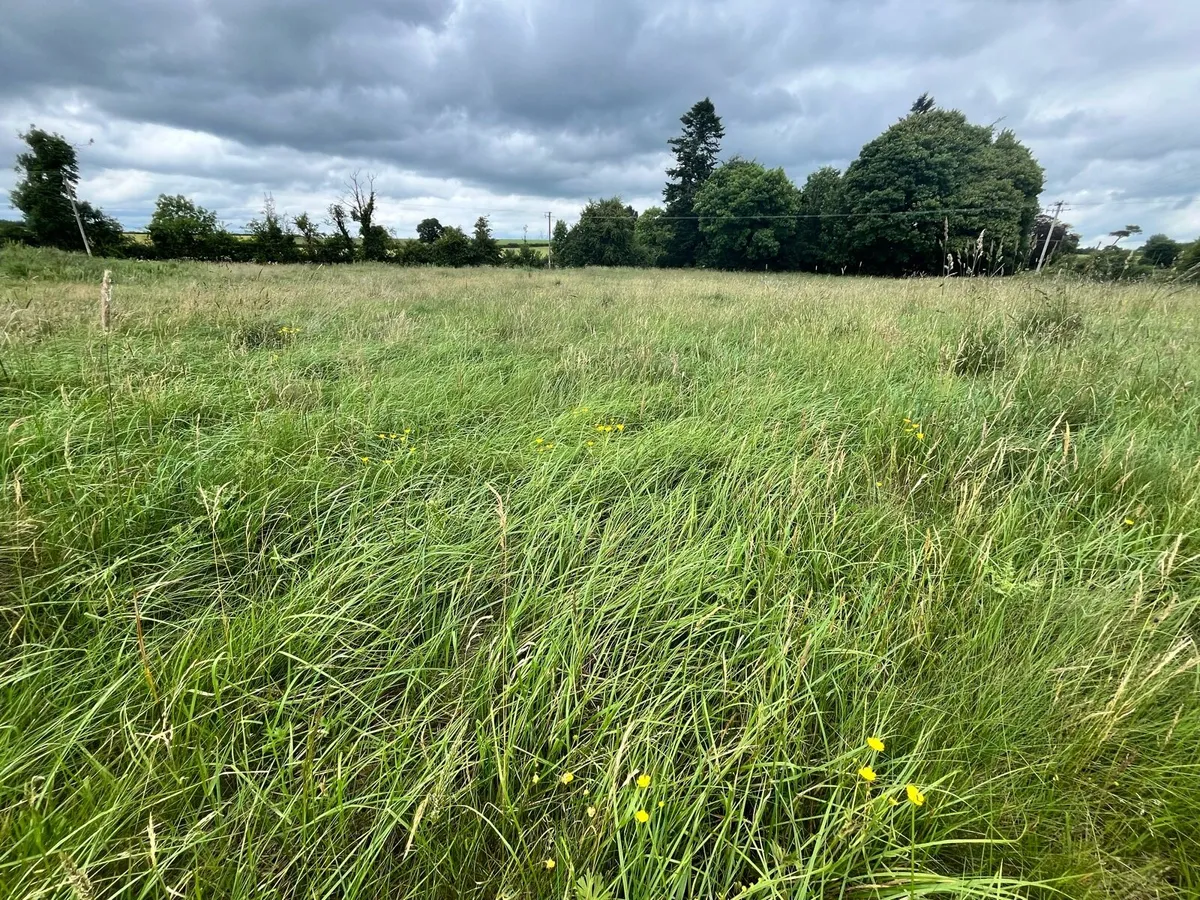 Hay Meadow - Image 1