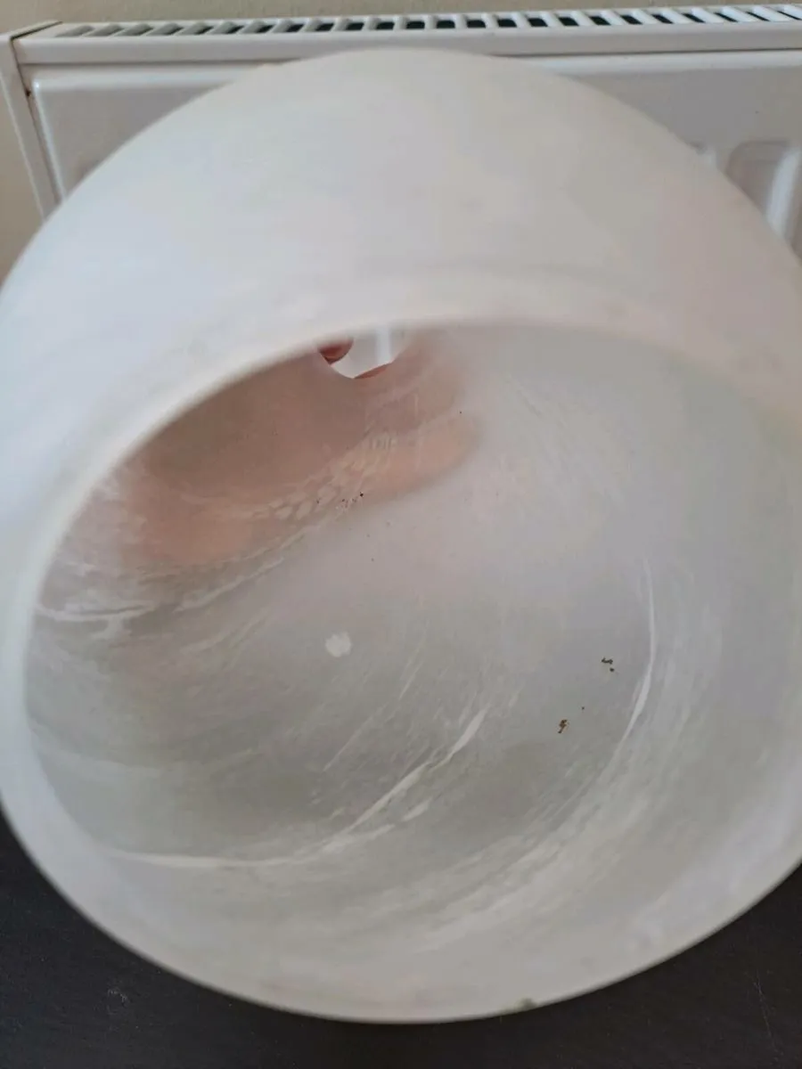 Vintage glass lamp shade - Image 4