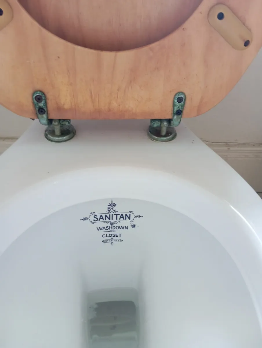 Toilet and washing basin - Image 1