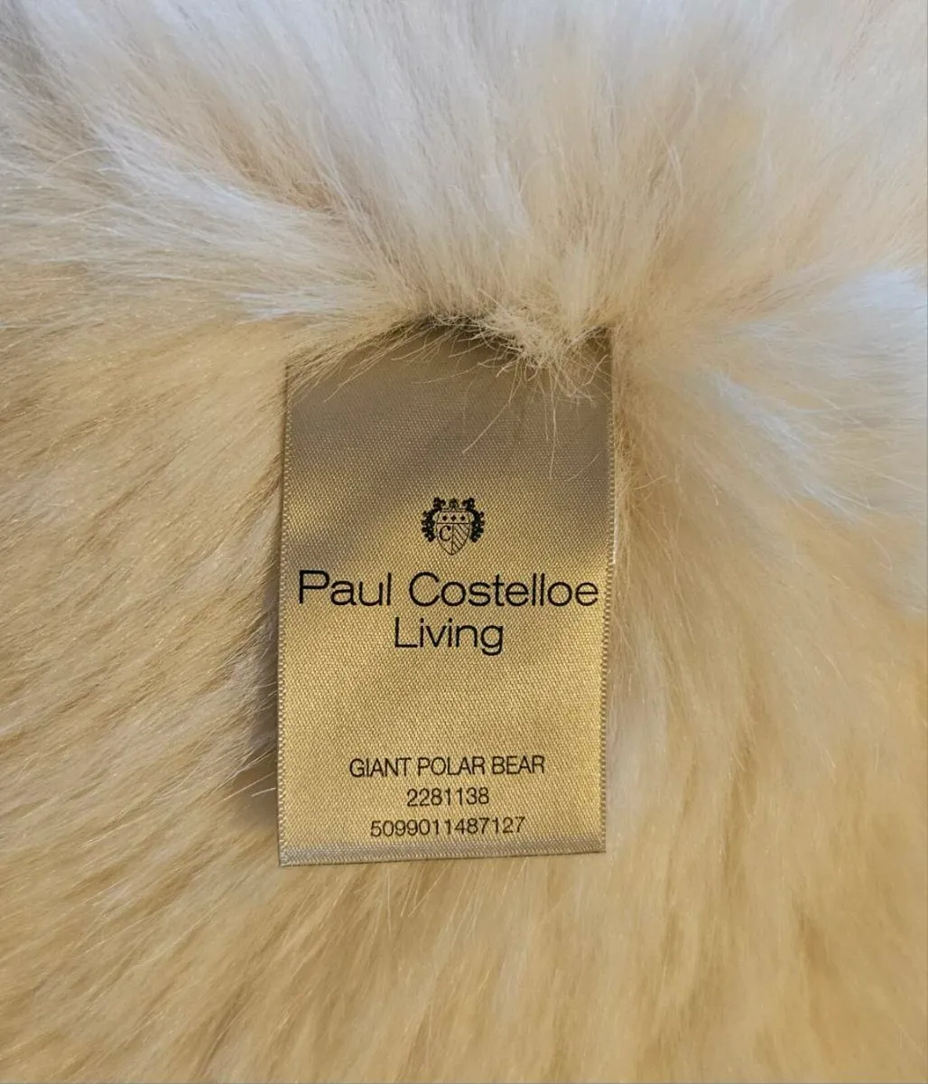 Paul Costello Bear - Image 3