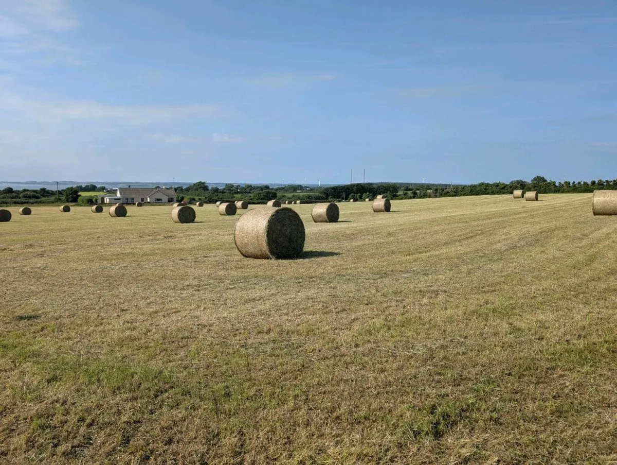 Round Hay - Image 2