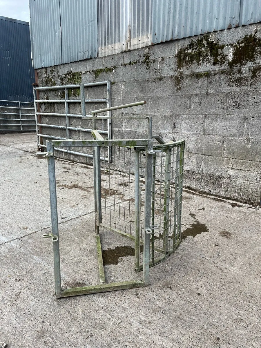 Sheep dividing gates - Image 1
