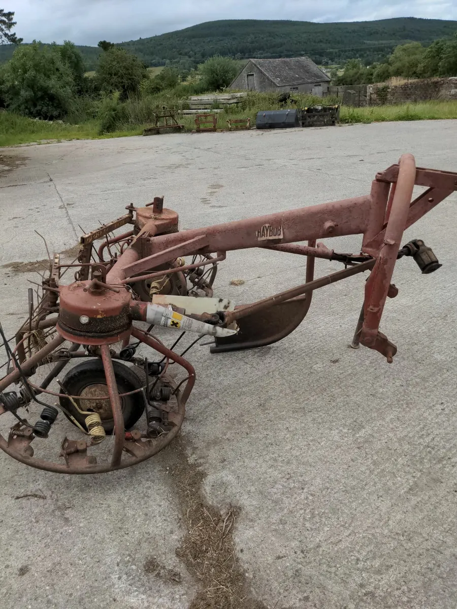 Bale Lifter - Image 3