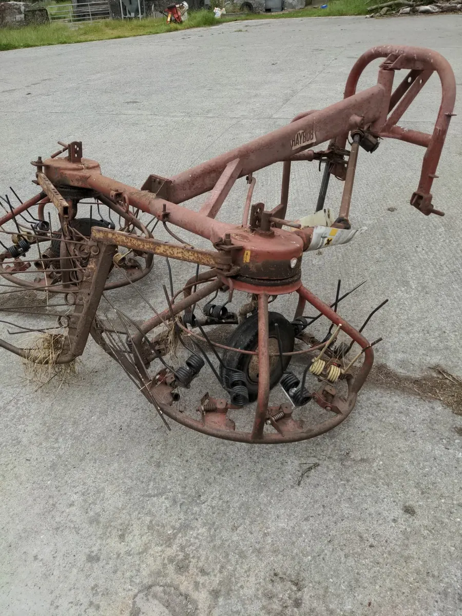 Bale Lifter - Image 4