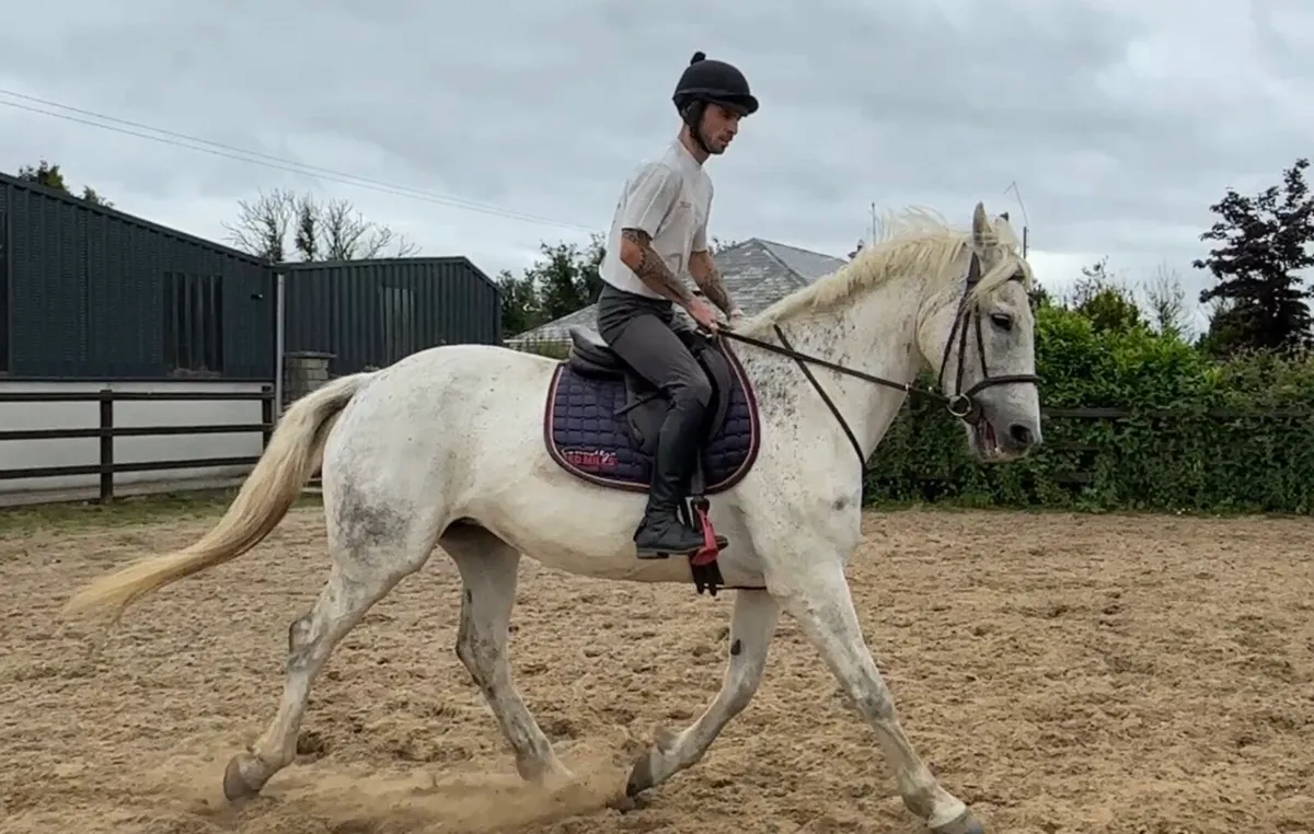 16.3 17 year old hunting machine - Image 2