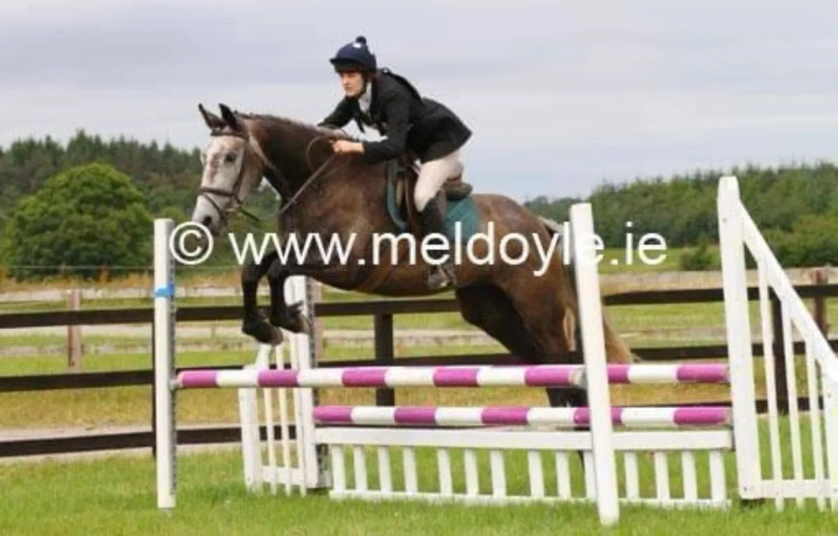 16.3 17 year old hunting machine - Image 4