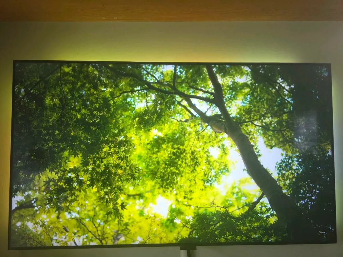LG  65 INCH TV with Govee TV LED Backlight - Image 2