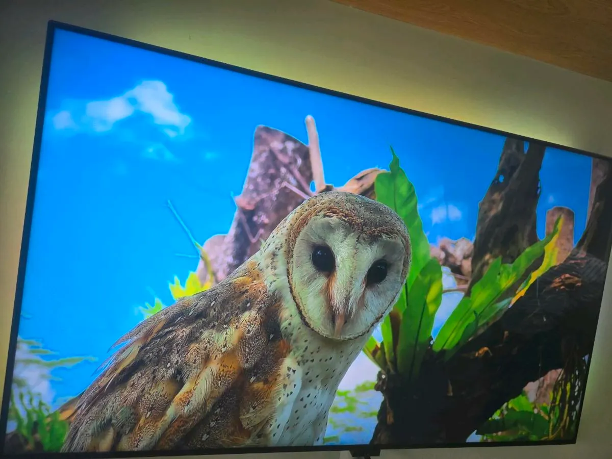 LG  65 INCH TV with Govee TV LED Backlight - Image 1