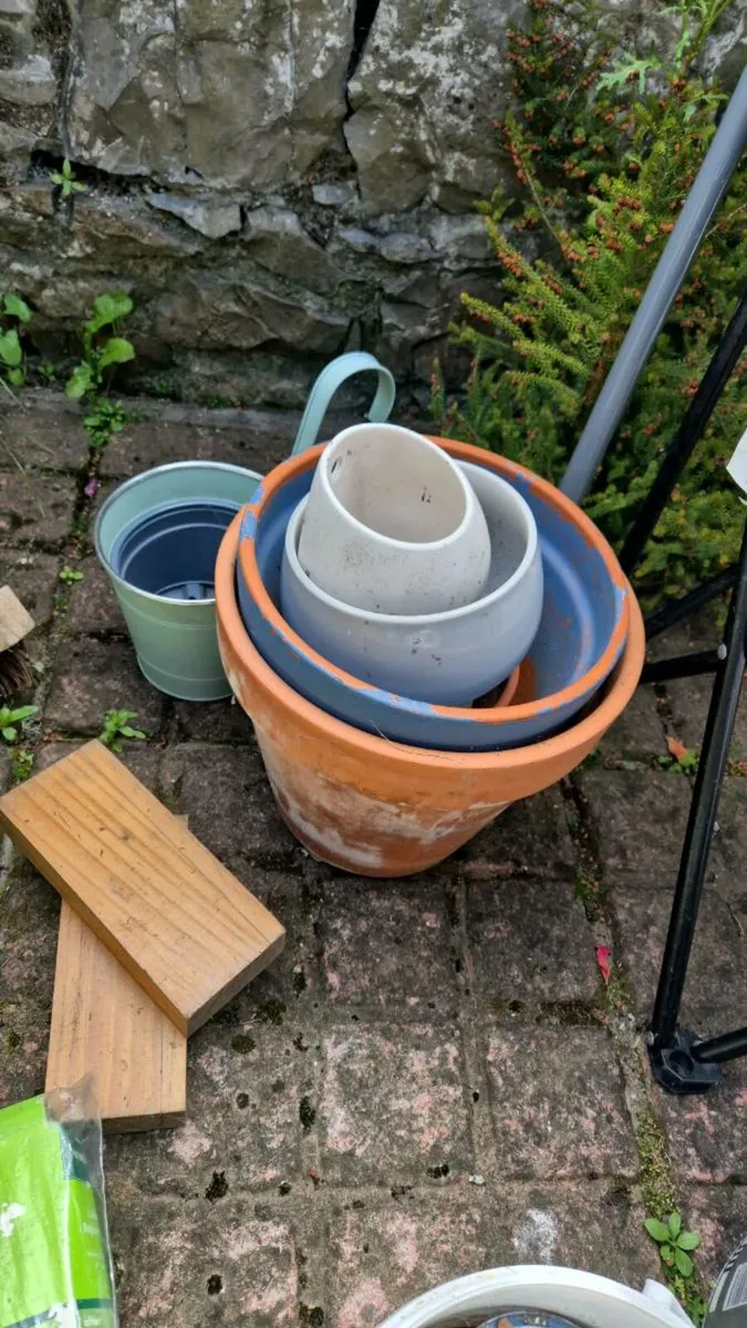 Plant pots