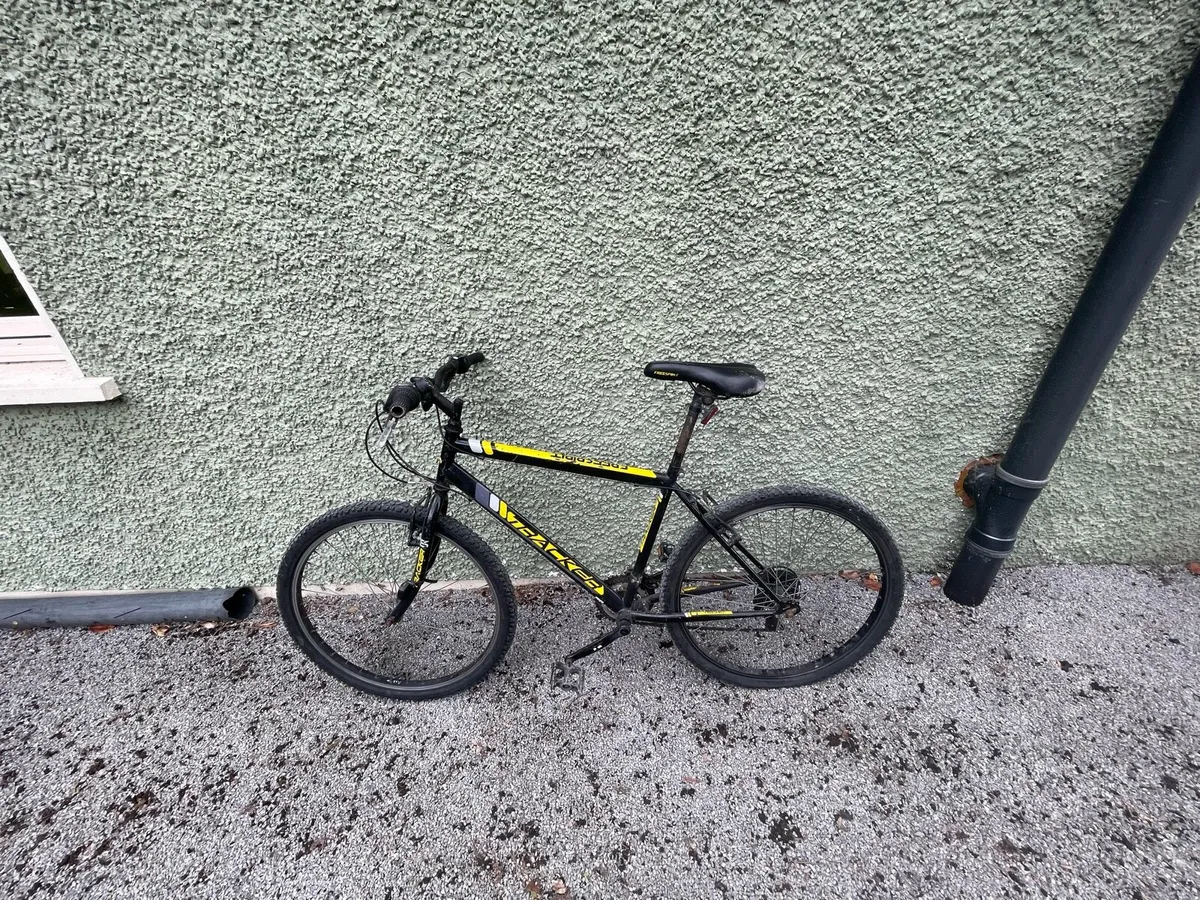Bike - Image 1