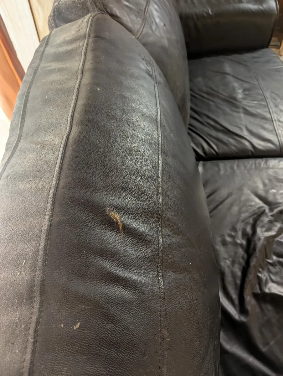 Couches - Image 1
