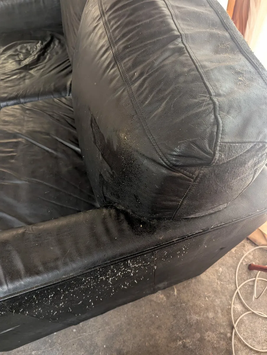 Couches - Image 4