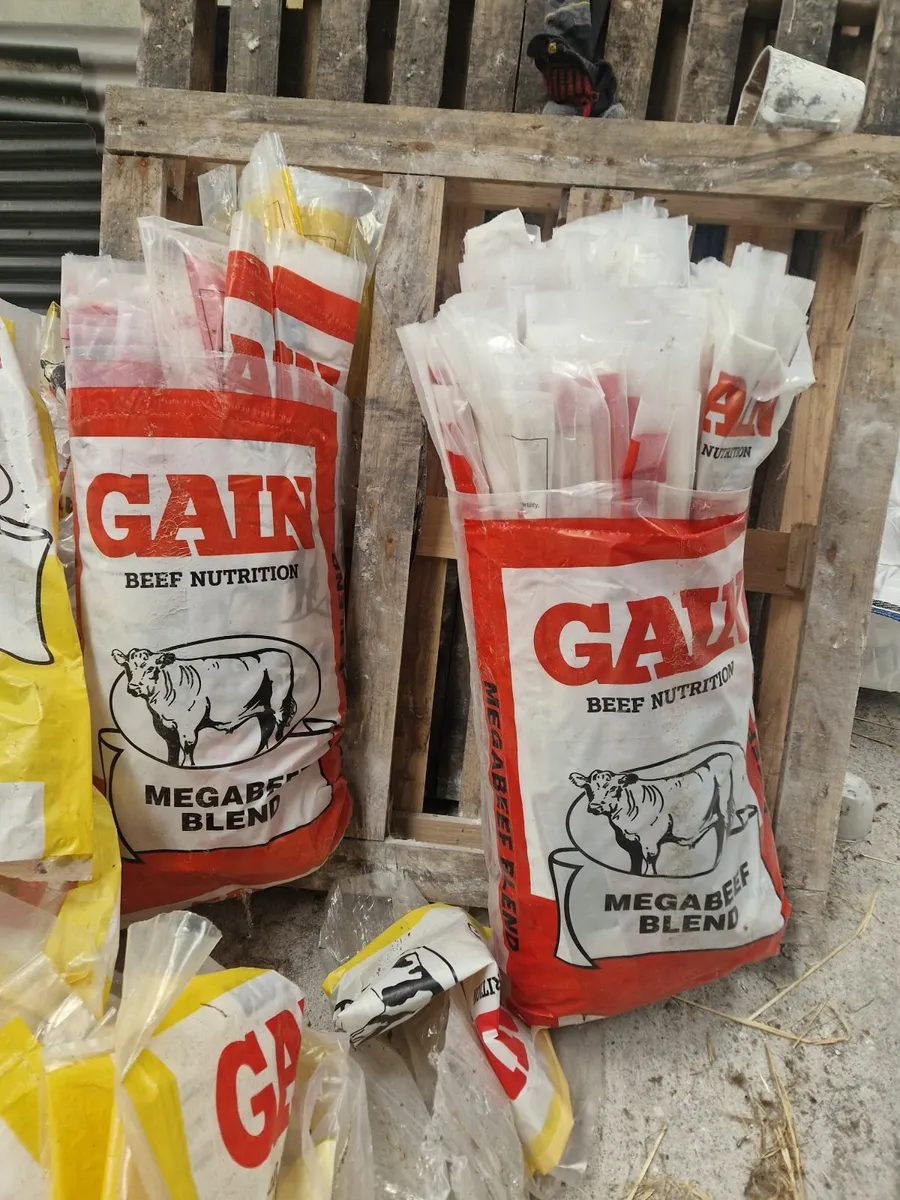 Meal bags - Image 3
