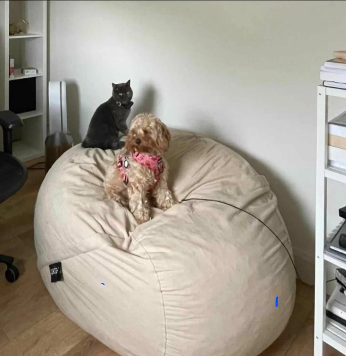 Bean bag Elephant - Image 1