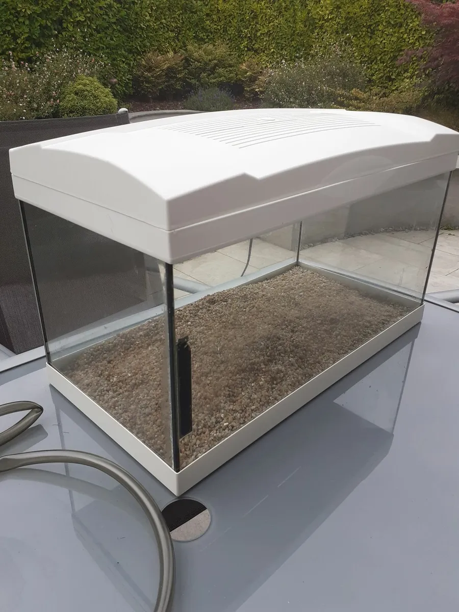 Fish Tank and Accessories (55 ltr.) - Image 1
