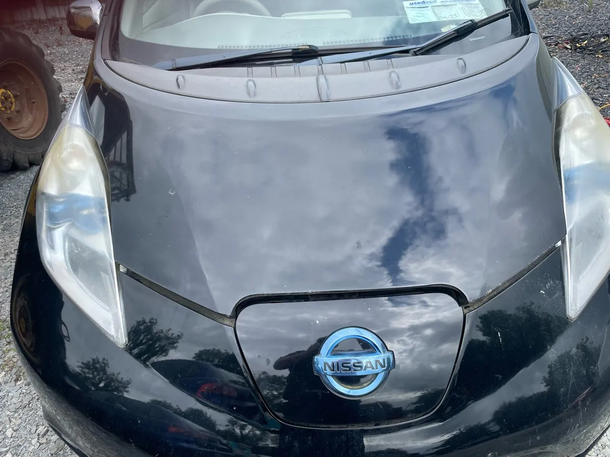 Nissan leaf - Image 1