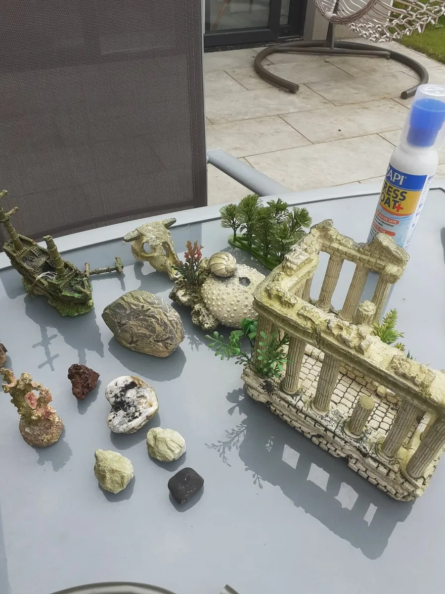 Fish Tank and Accessories (55 ltr.) - Image 4