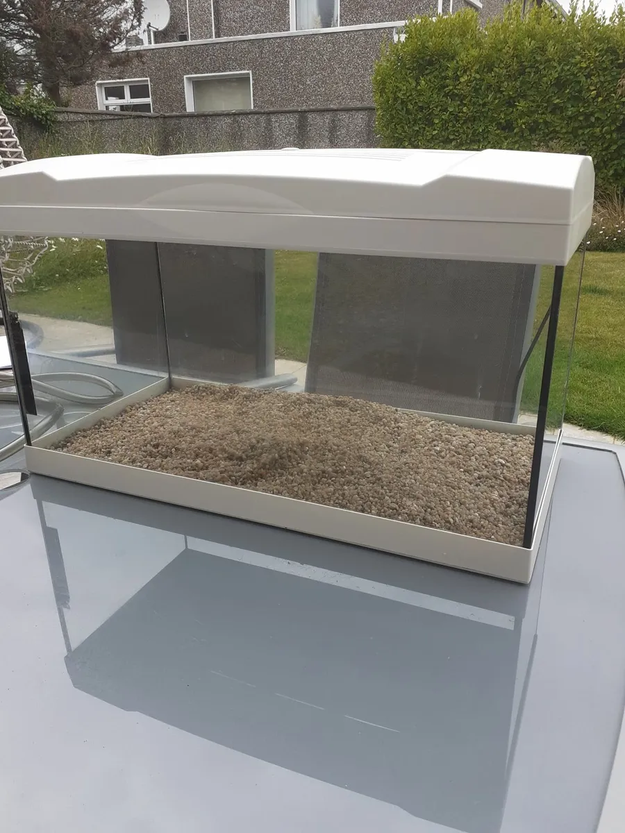 Fish Tank and Accessories (55 ltr.) - Image 2