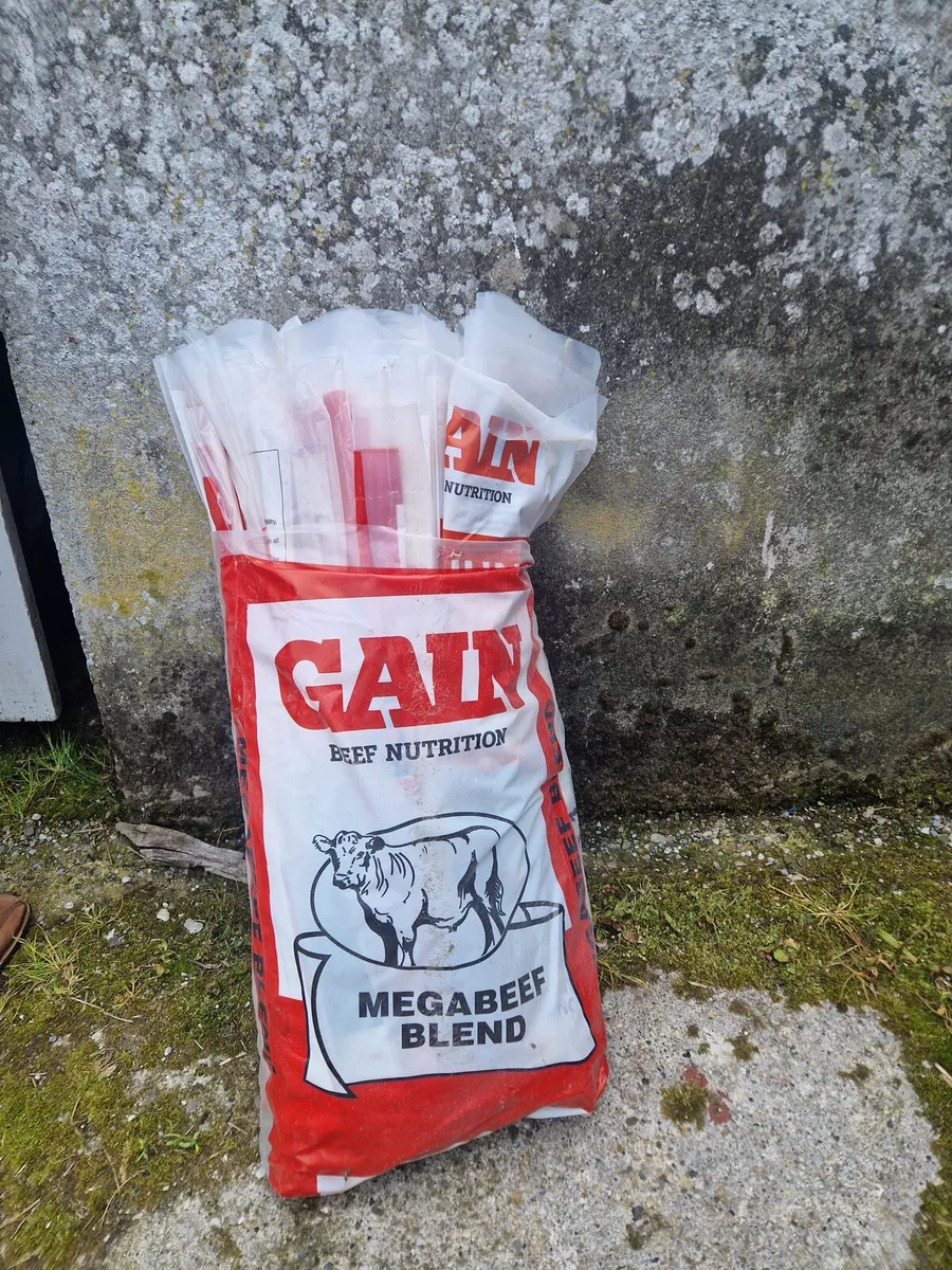 Meal bags - Image 4