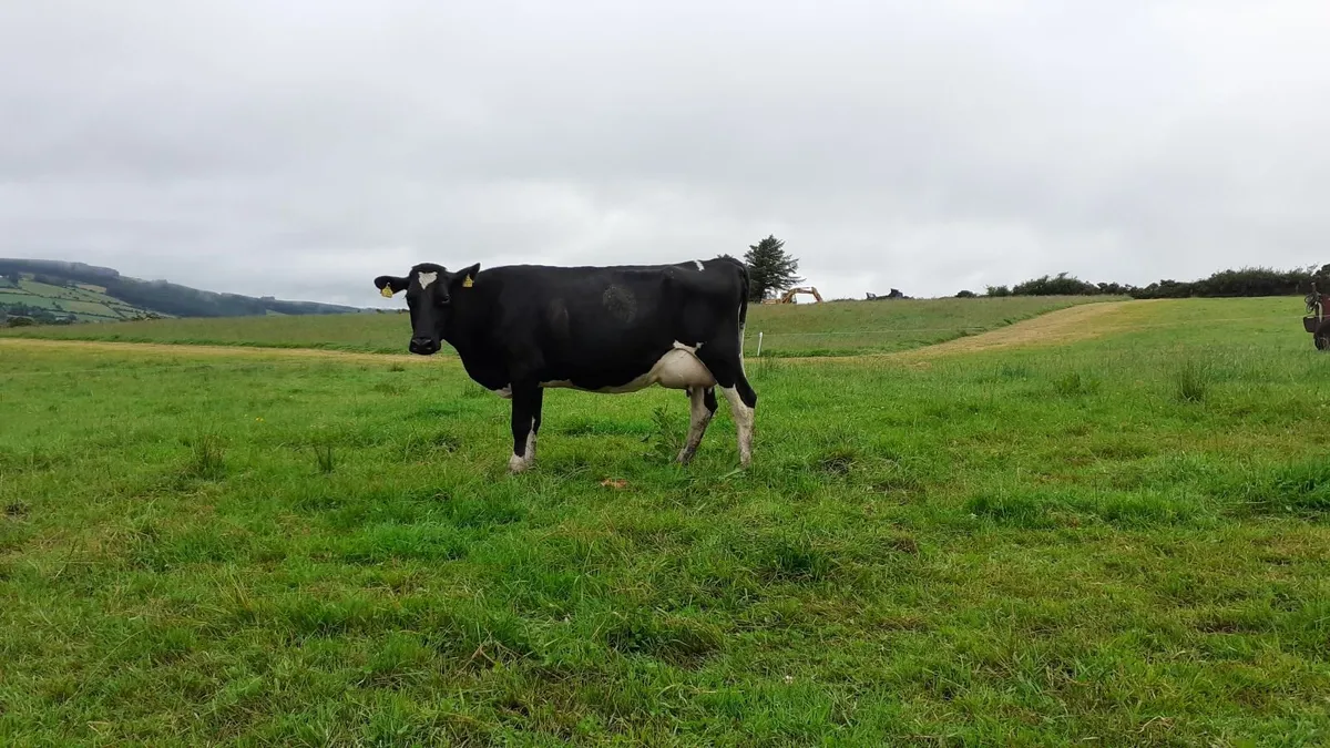 farming - Image 2