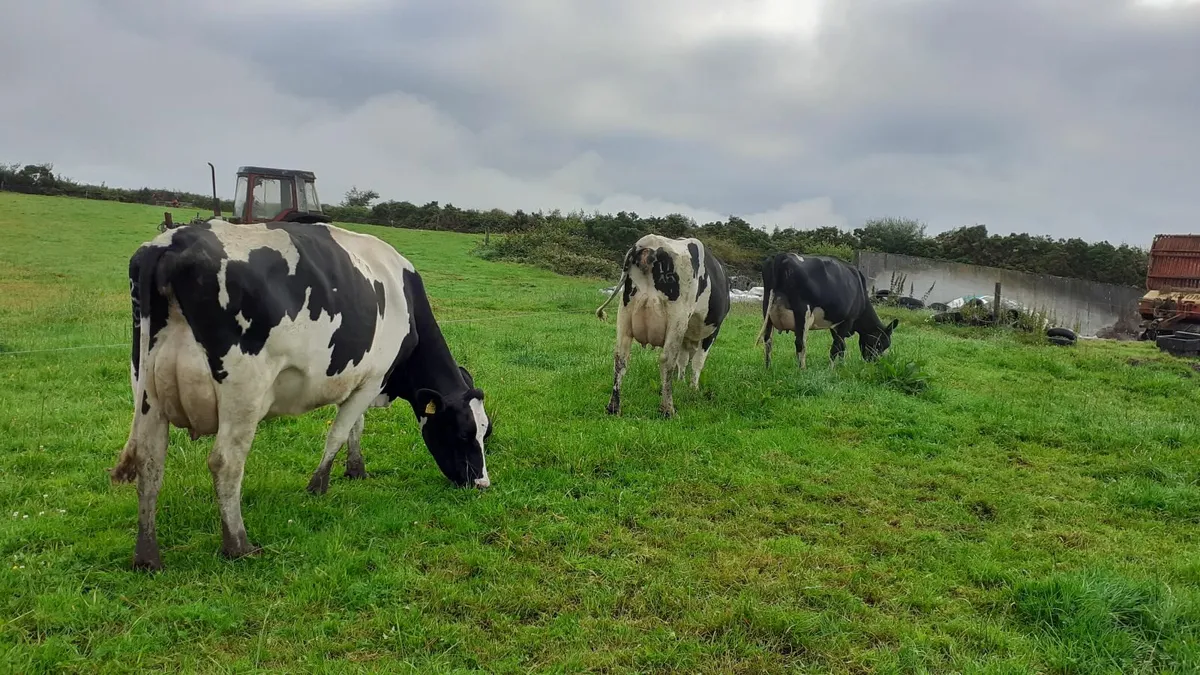 farming - Image 3