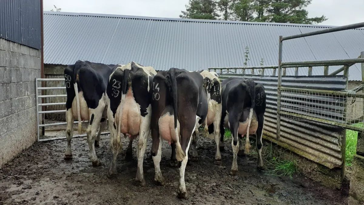 farming - Image 4