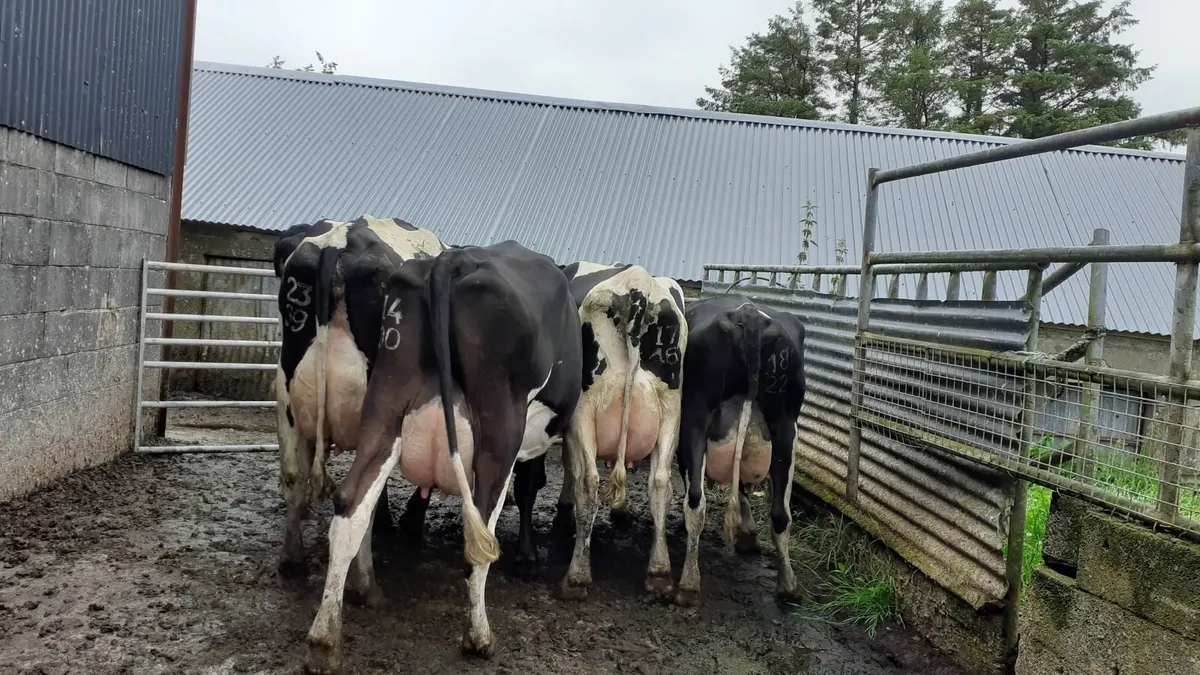 farming - Image 1