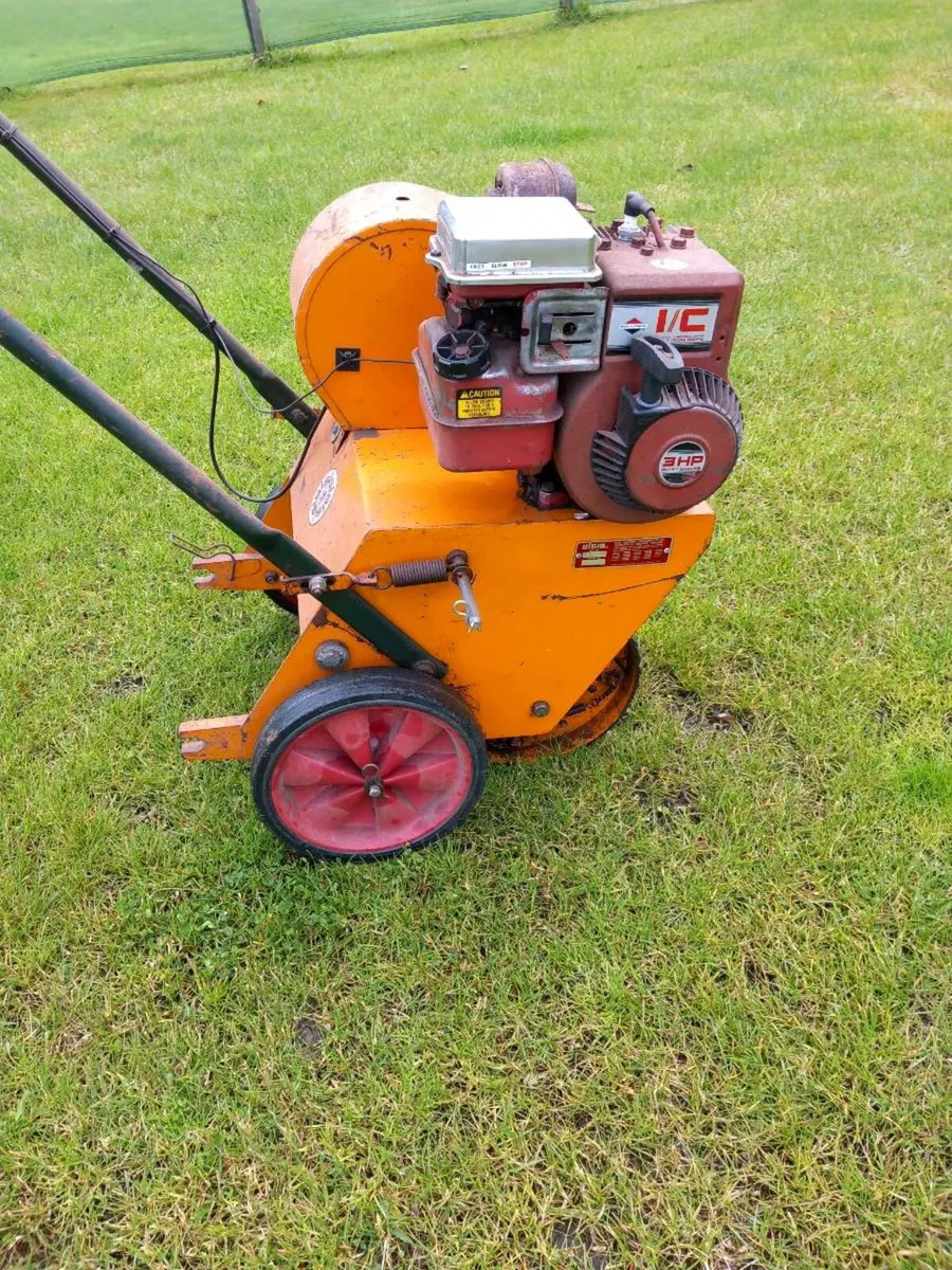 SISIS AUTO GREENMAN - Image 1