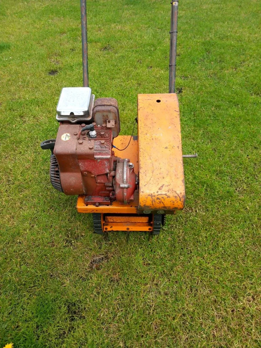 SISIS AUTO GREENMAN - Image 3