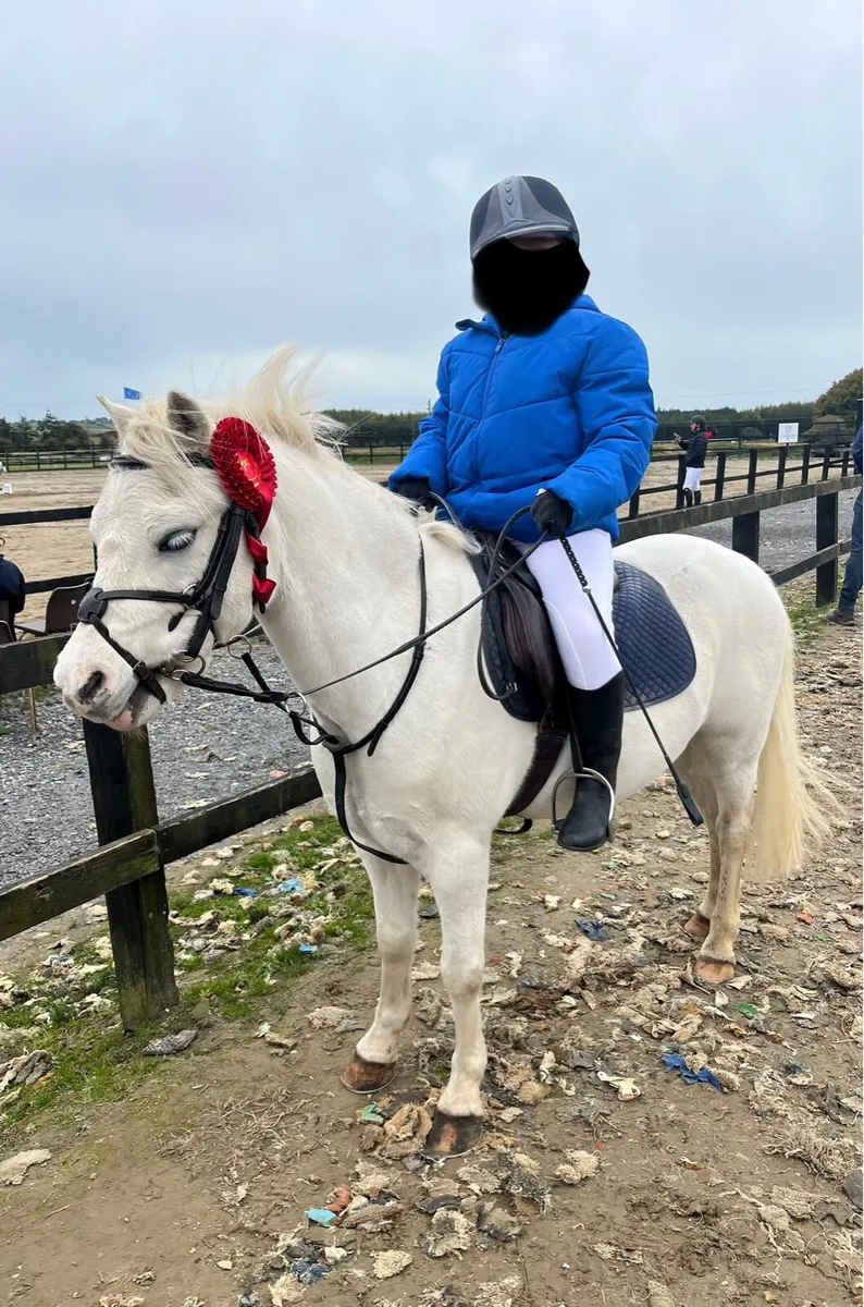 Lead rein / 1st pony - Image 2