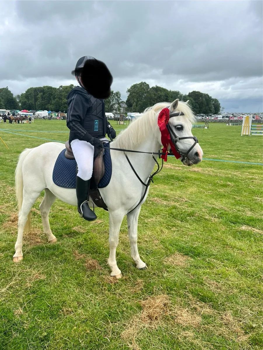 Lead rein / 1st pony - Image 3